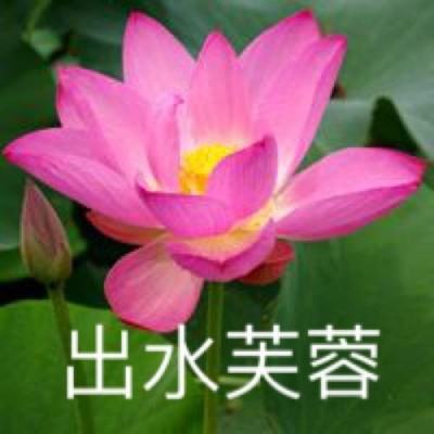 旧日传说taptap版下载